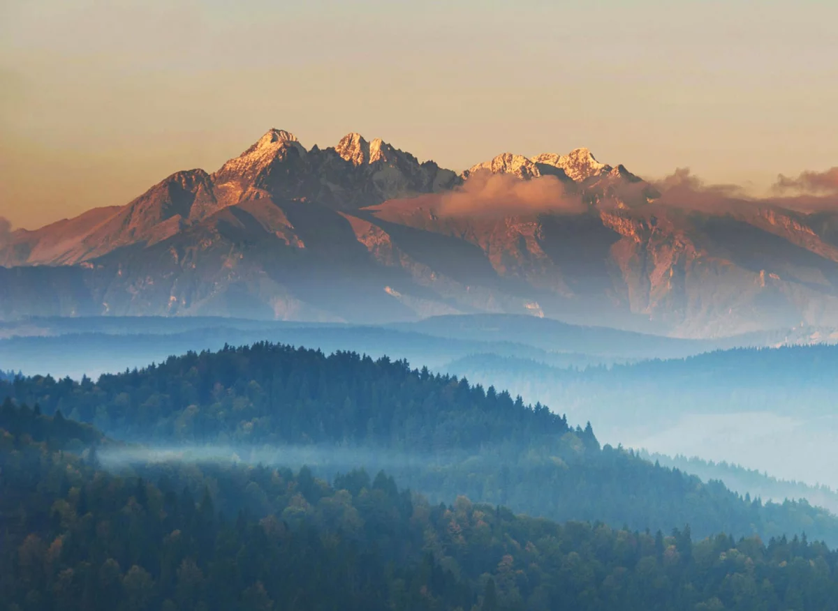 Jak  naprawić instalacje w Wodzisławiu w roku 2022?