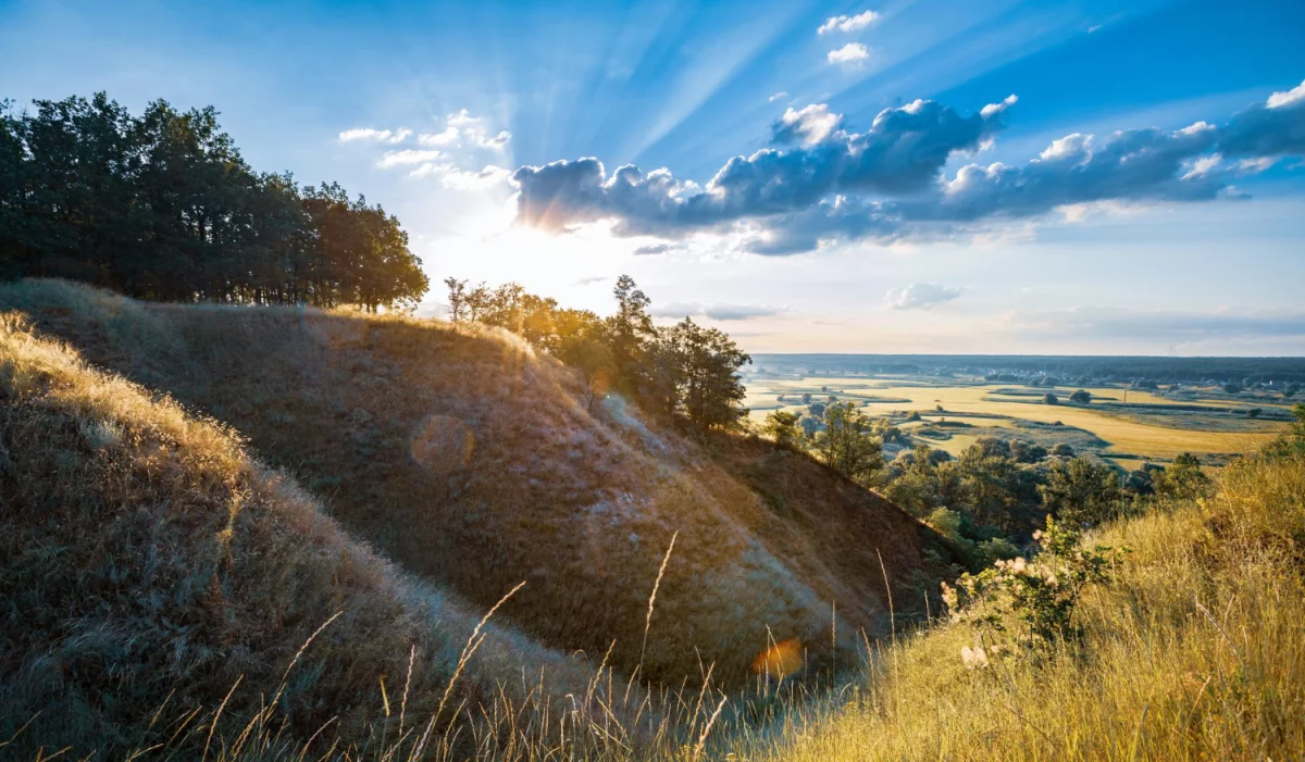Tylko u nas informacje z pierwszej ręki - o tym jak kupić klimatyzację