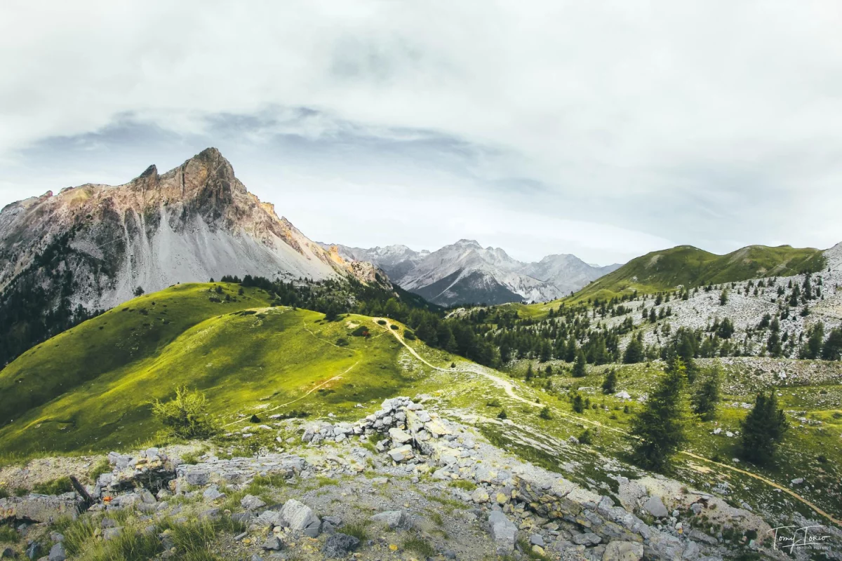 Zdrowie serca u kobiet: objawy i profilaktyka