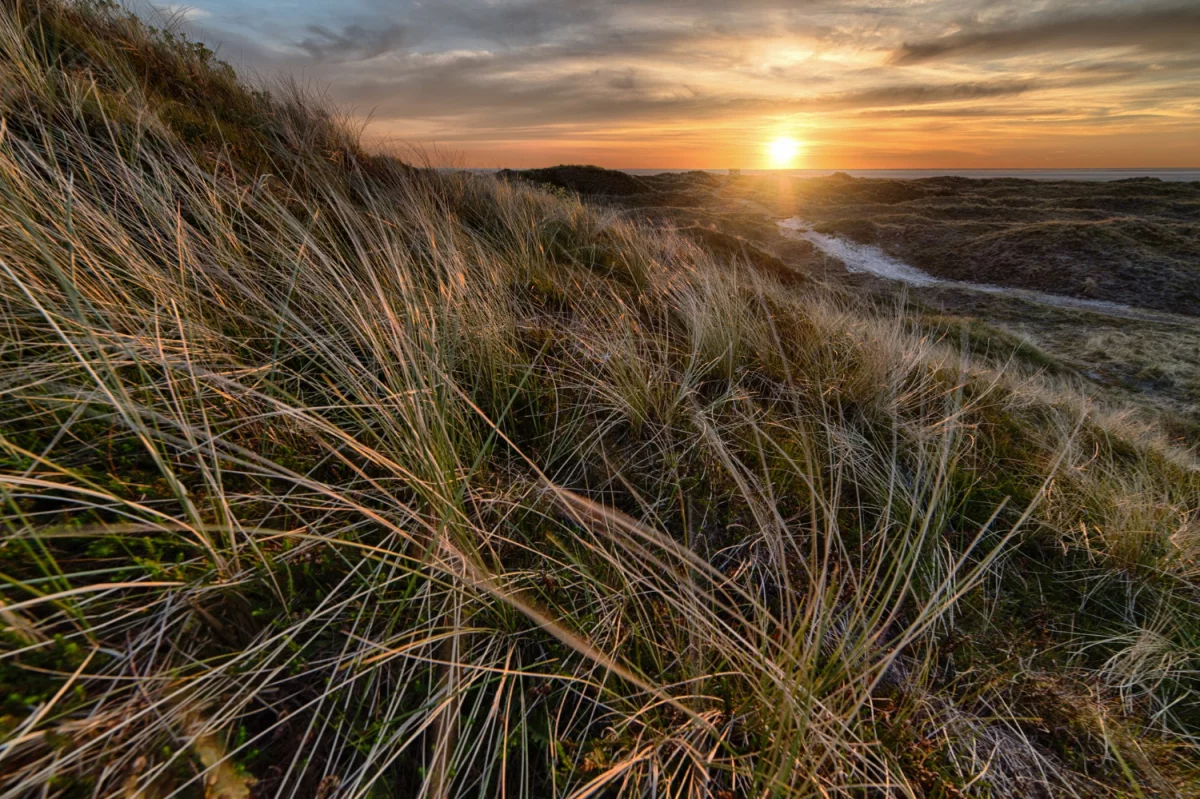 Czy ulepszyć marketing jest łatwo?